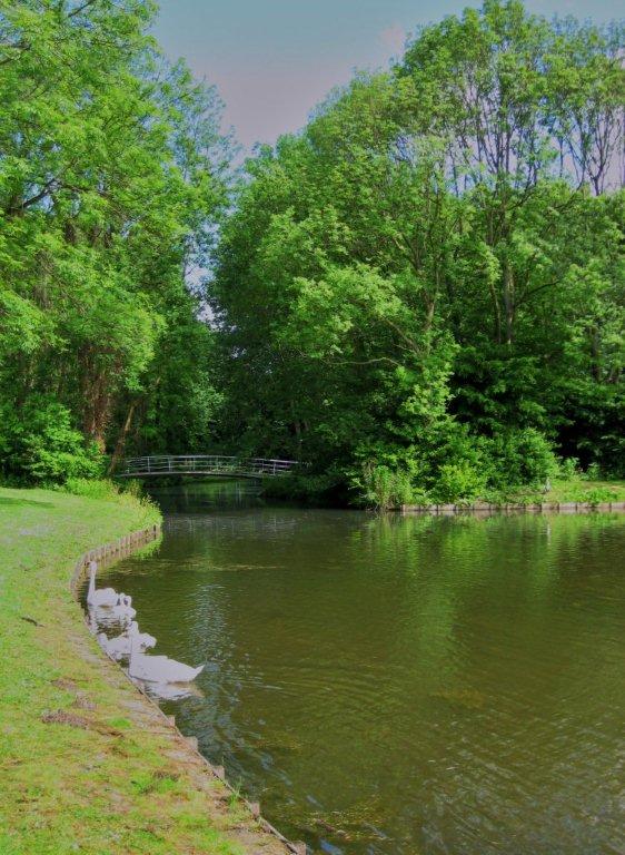 Zuider park aan de plas (3)